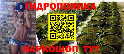 бошки Камышлов