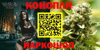бошки Камышлов