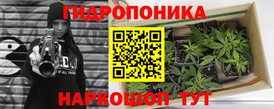 бошки Камышлов