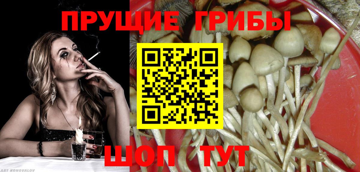 Псилоцибиновые грибы Magic Shrooms Кызыл